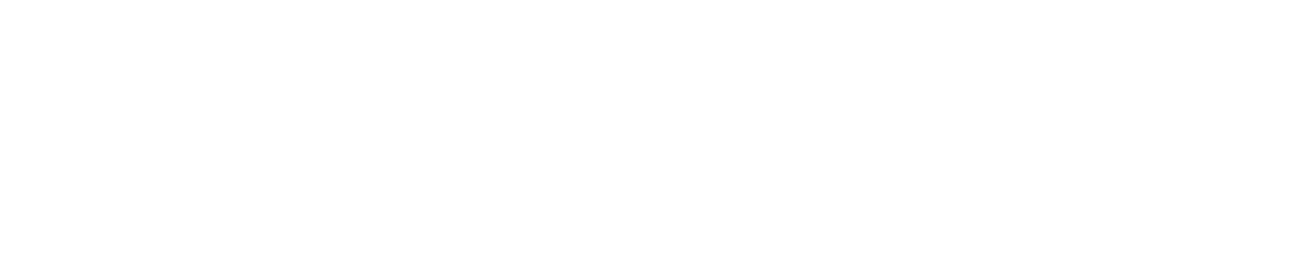 Virtual Valley Logo All White