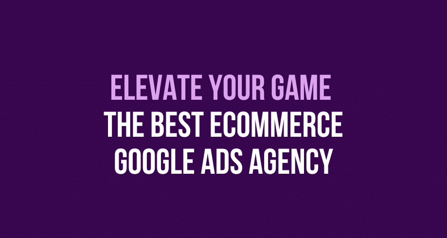 best ecommerce google ads agency